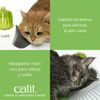 Wellness Center Para Gatos Catit Senses 2.0