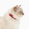 Collar Para Gatos Breakaway Reflectante Catit, Rojo