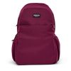 Mochila Igloo Back Pack