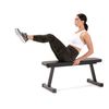 Banco De Musculación Proform Flat Bench Xt Sport Strength