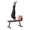 Banco De Musculación Proform Flat Bench Xt Sport Strength