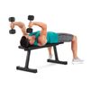 Banco De Musculación Proform Flat Bench Xt Sport Strength