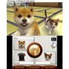 Nintendogs + Cats Poodle Game Selecciona 3ds