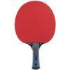 Raqueta De Tenis De Mesa - Evolution 2000 Dunlop