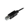 Startech.com - Cable De 2m Usb-c A Usb B Macho A Macho - Cable Usb Tipo C A Usb B Usb 2.0