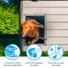 Lifetime - Caseta Para Perros De Exterior Con Protección Uv