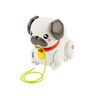 Perro De Paseos Perrito Pug Fisher-price. Mueve Las Orejas  Las Patas Y Emite Sonidos De Ladridos.