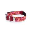 Collar Para Perros Funny Caramelos Pamppy 45 Cm