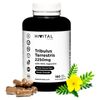 Tribulus Terrestris 2250 Mg | 180 Cápsulas Veganas