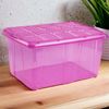 Caja De Almacenamiento, Pongo Todo Ropa, Hogar, 60l Litros Organizador Impermeable (rosa Translúcido)