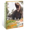 Libro Creativo Pequeño Dinosart Set Con 12 Laminas De Dinosaurios