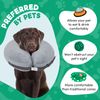 Collar Inflable Protector Y De Recuperación Para Perros Y Gatos Gris S Bencmate