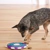 Juego Estrategia Para Perros Nina Ottosson Dog Twister Outward Hound