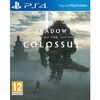 Shadow Of The Colossus Jeu Ps4