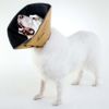 Collar Electrónico De Mascotas Comfy Cone Marrón L 25 Cm All Four Paws