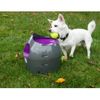 Lanzador De Pelotas Automático Gris Y Morado 9 M Petsafe