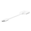 Belkin Npa004btwh Hub De Interfaz Usb Tipo C Blanco