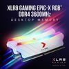 Memoria Ram - Xlr8 Gaming Epic-x Rgbâ „¢ Ddr4 3600mhz 2x8gb