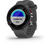 Garmin Forerunner 55 - Reloj Inteligente Gps - Monterra Grey