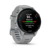 Garmin Forerunner 255s Gray / Smartwatch 41mm