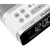 Pure Siesta S6 Polar / Radio Despertador De Estantería