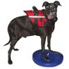 Disco De Equilibrio Para Mascotas Azul 36 Cm Fitpaws