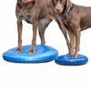 Disco De Equilibrio Para Mascotas Azul 36 Cm Fitpaws