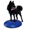 Disco De Equilibrio Para Mascotas Azul 56 Cm Fitpaws