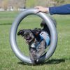 Soporte Para Donut Gris 63 Cm Fitpaws