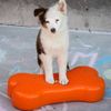 Plataforma De Equilibrio Mascotas K9fitbone Naranja 58x29x10cm Fitpaws