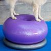 Pelota De Equilibrio Para Mascotas Trax Donut Morado 55 Cm Fitpaws