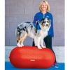 Plataforma De Equilibrio Para Mascotas Trax Peanut Rojo 50 Cm Fitpaws