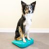 Rampa De Equilibrio Para Mascotas Azul 35x35x7 Cm Fitpaws