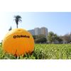 Paquete De 2 Pelotas De Spikeball