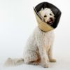 Collar Electrónico Mascotas Comfy Cone Largo S 20 Cm All Four Paws
