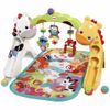 Gimnasio De Actividades Para Bebés Ccb70 Fisher Price