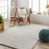 Alfombra Shaggy Moderna Blanco/gris 160x213cm Adley