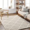 Alfombra Shaggy Escandinava Blanco/beige 160x220cm Jane