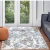 Alfombra Vintage Oriental Blanco/azul 200x275cm Haru