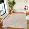 Alfombra Escandinava Moderna Interior/exterior Beige 120x170cm Midori