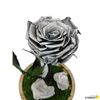 Rosa Eterna Preservada De Color Plata Cúpula
