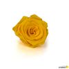 Rosa Eterna Preservada De Color Amarillo Eléctrico 55cm