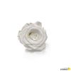 Rosa Eterna Preservada De Color Blanco 55cm