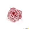 Rosa Eterna Preservada De Color Rosa Pastel 55cm