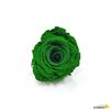 Rosa Eterna Preservada De Color Verde 55cm