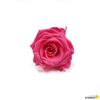 Rosa Eterna Preservada De Color Rosa Pink Party 55cm