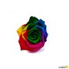 Rosa Eterna Preservada De Color Multicolor 35cm