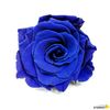 Rosa Eterna Preservada De Color Azul Oscuro 55cm