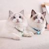 Nuevo Zewind Gato Collar Collar De Gato Con Campana Para Mascotas Gato Con Campana Para Perros Pequeños Collar De Perro Con Campana Azul