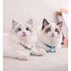 Nuevo Zewind Gato Collar Collar De Gato Con Campana Para Mascotas Gato Con Campana Para Perros Pequeños Collar De Perro Con Campana Azul